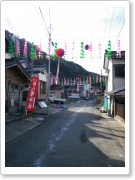IMGP3974.jpg